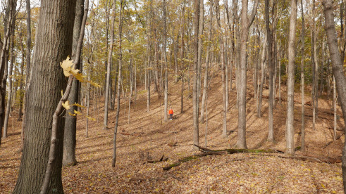 Cary forest with Vicky for scale