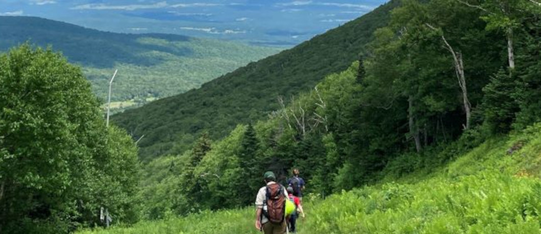 Main page image for CI4 test 3