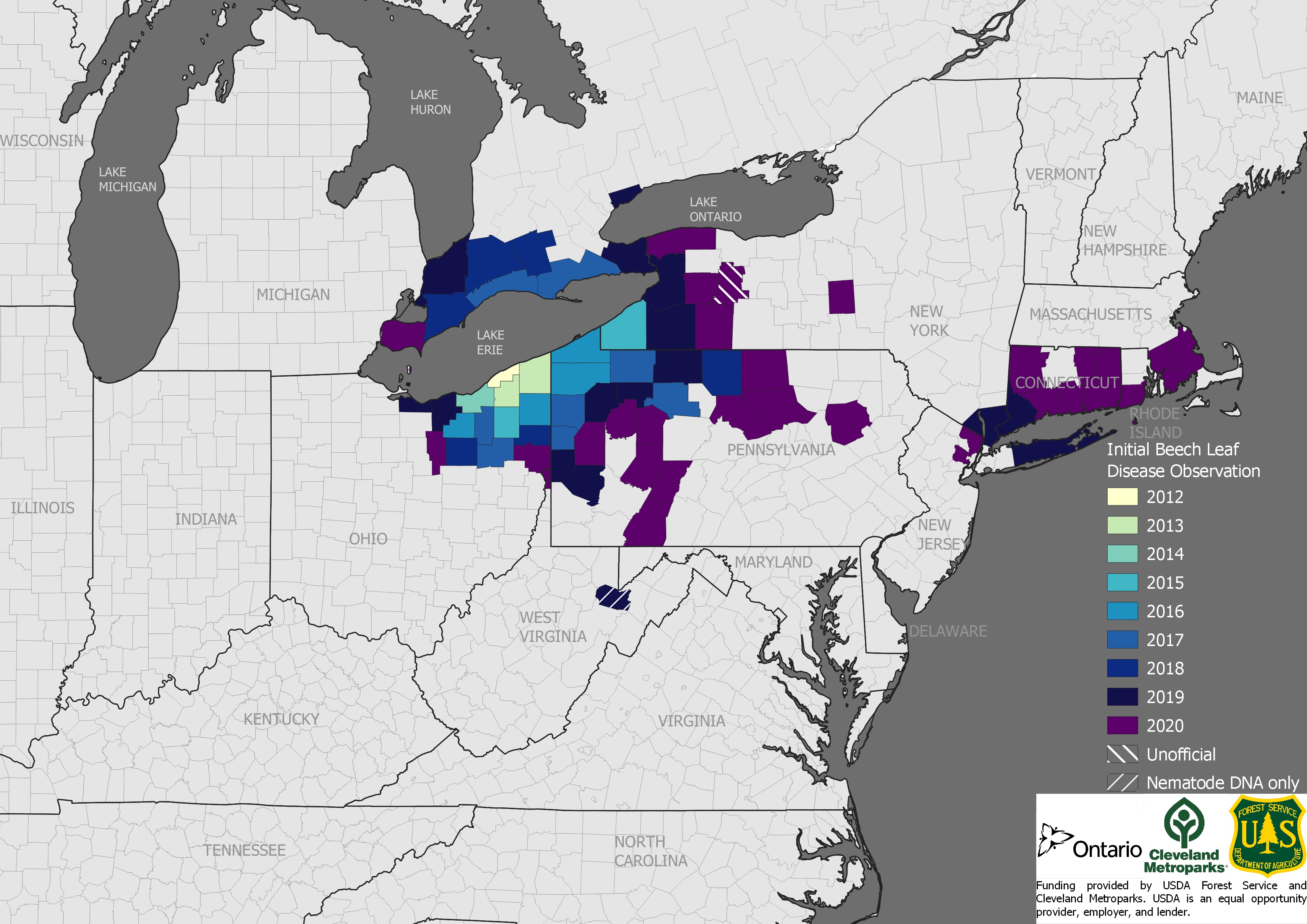 Thumbnail for Detecting and Monitoring Beech Leaf Disease in the Northeast news item