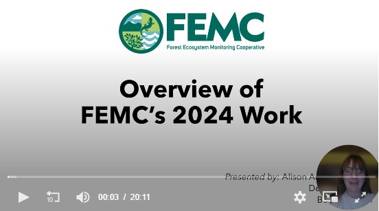 Thumbnail for Learn about FEMC's 2024 work from Director Alison Adams news item