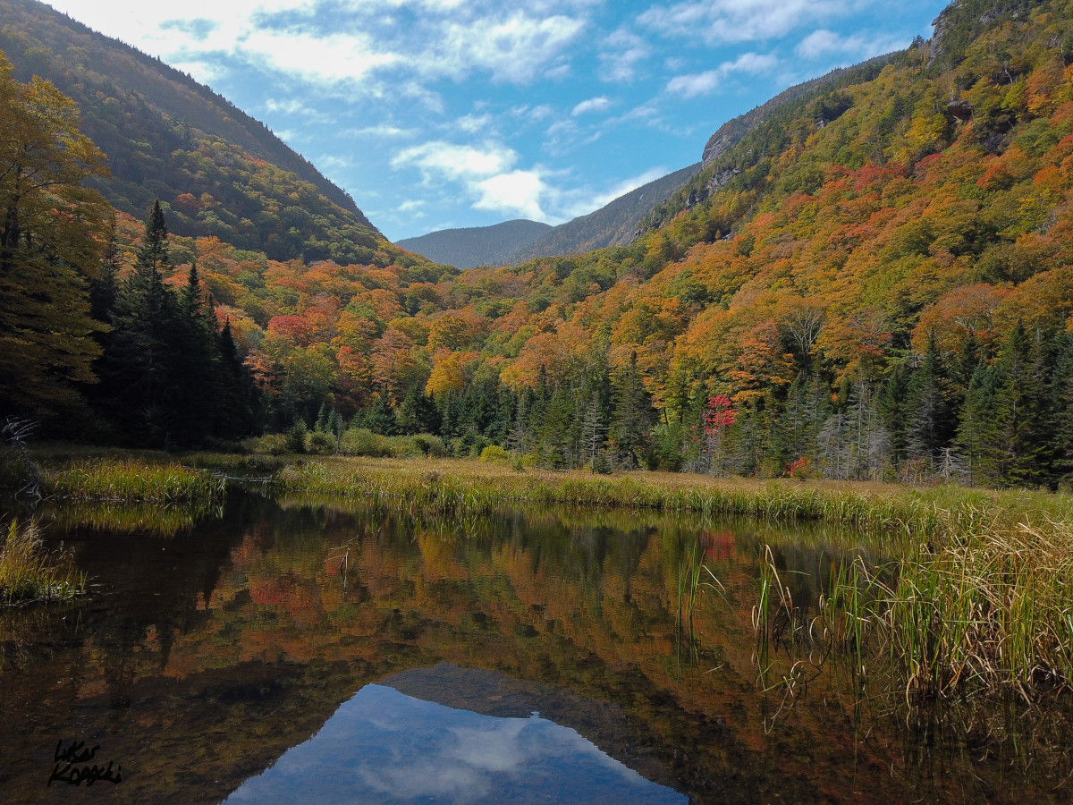 Photo of Vermont mountain with autumn leaves lit up in golden sun.