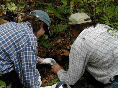 FEMC Cooperators sampling soil on Mount Mansfield