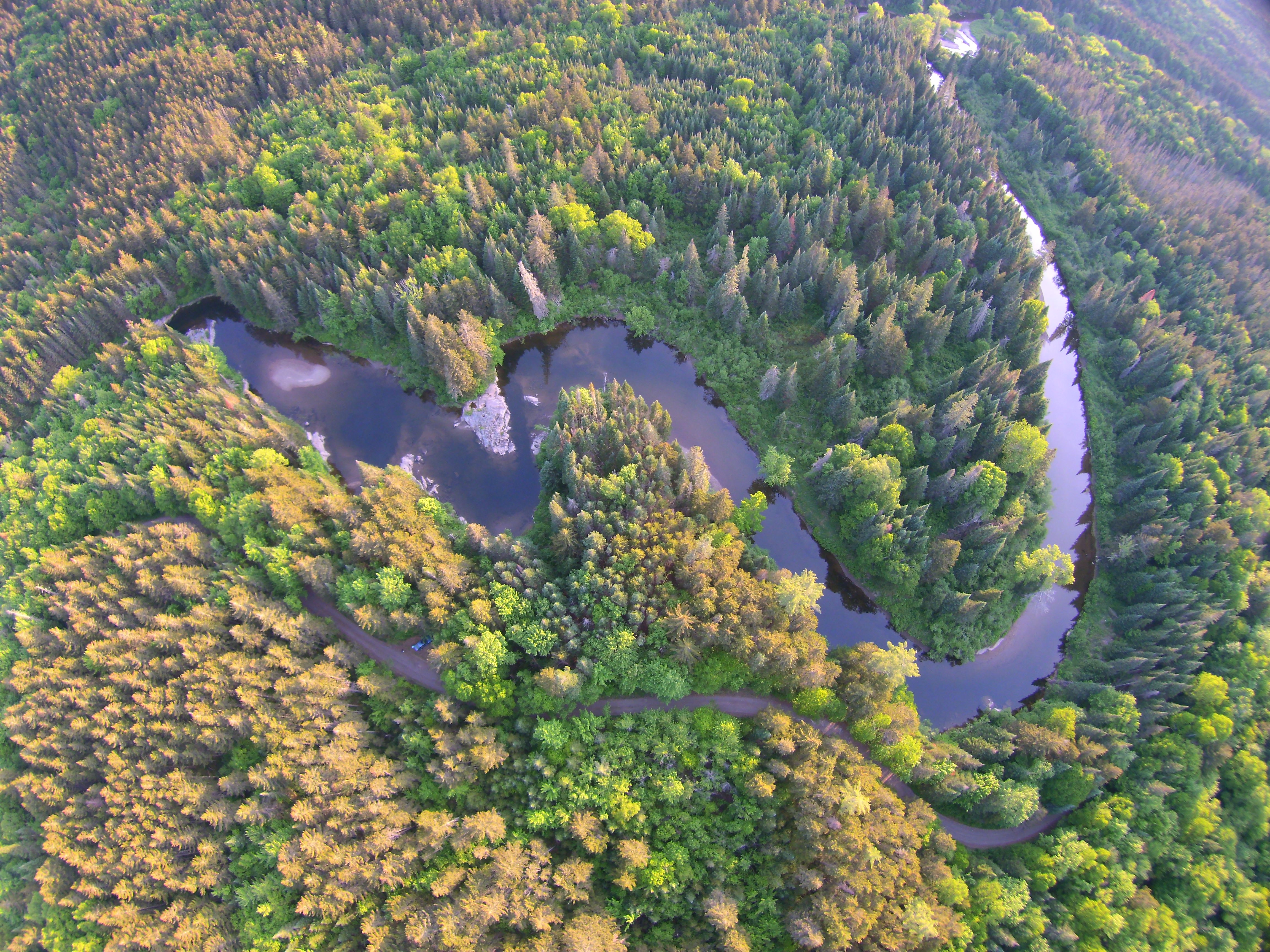 Thumbnail for Training Opportunity - NEFIN Webinar news item