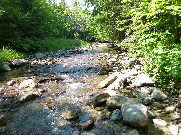 Quiet brook