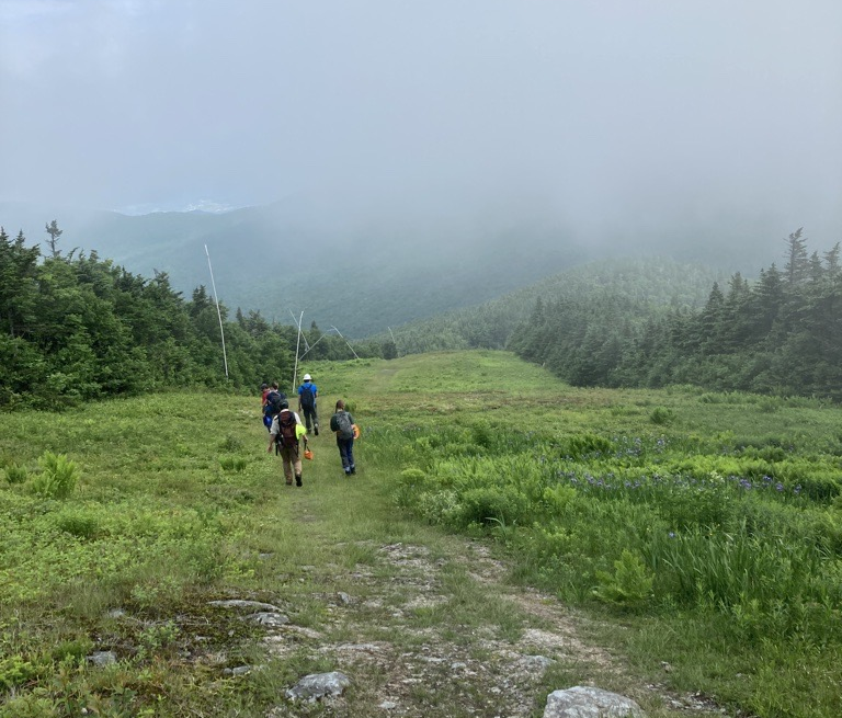 People hiking