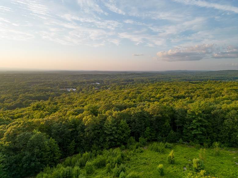 aerial view of northeast forest and wispy clouds in blue sky