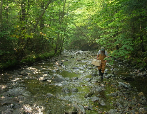 Flowing stream