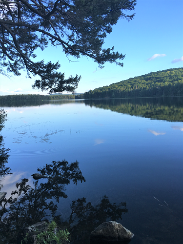 Grout Pond in Stratton, Vermont, Green Mountain National Forest.