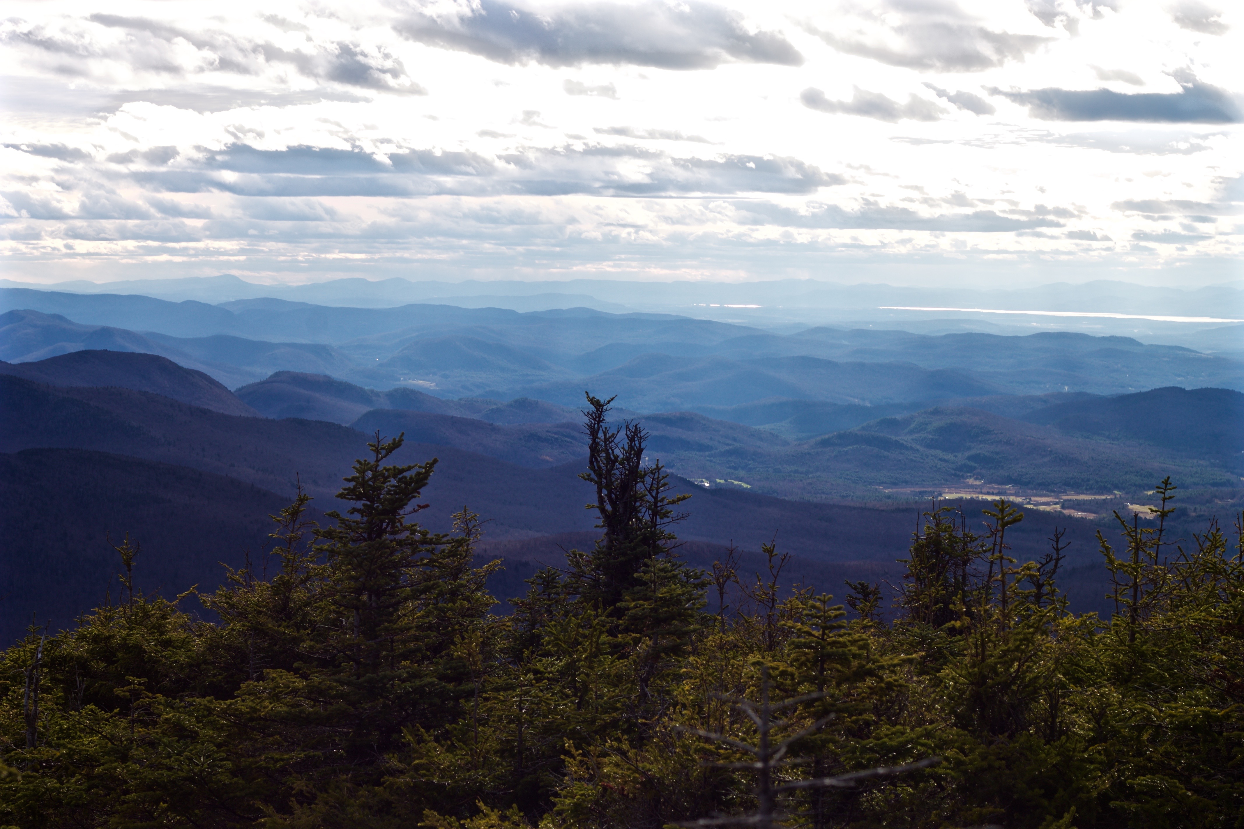 Permanent plots allow repeated measures of the condition for forest health across the state.