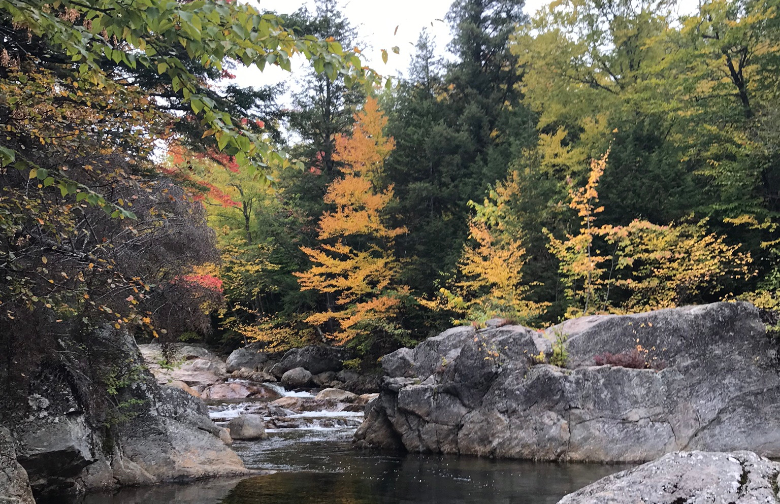 Photo of river and trees with foliage.