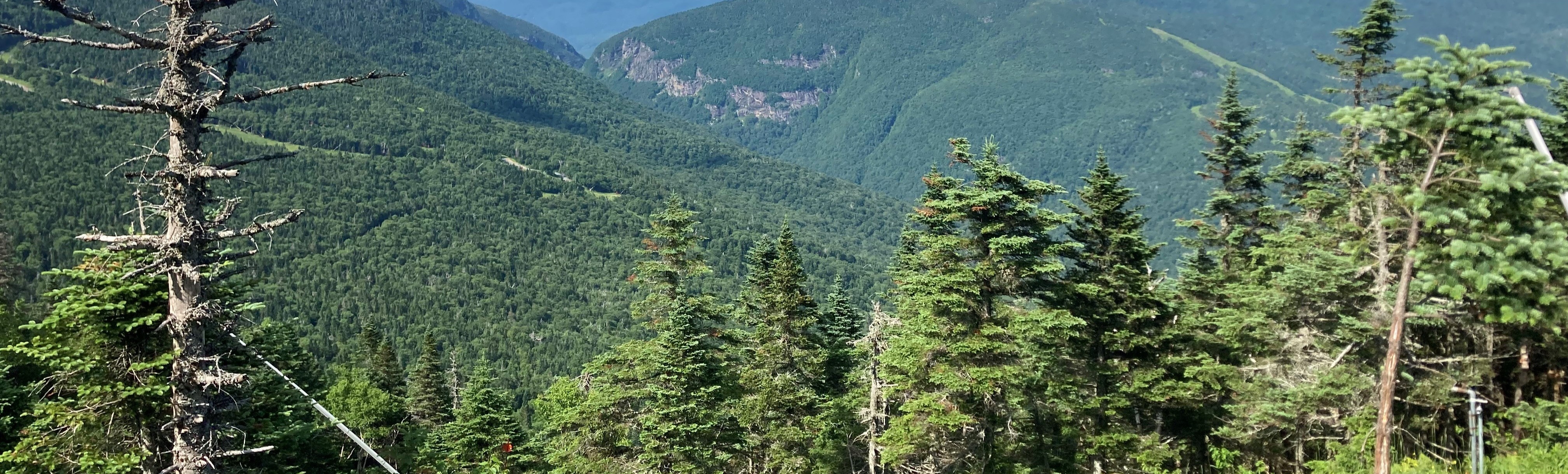 banner image of Mount Mansfield landscape