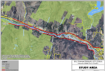 Thumbnail for Wildlife Connectivity Study Final Report (Bolton Waterbury STP 2709(1))