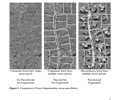 Thumbnail for Forest fragmentation in Connecticut: what do we know and where are we headed?