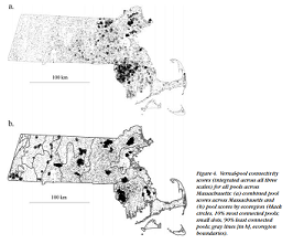 Thumbnail for A resistant-kernel model of connectivity for amphibians that breed in vernal pools