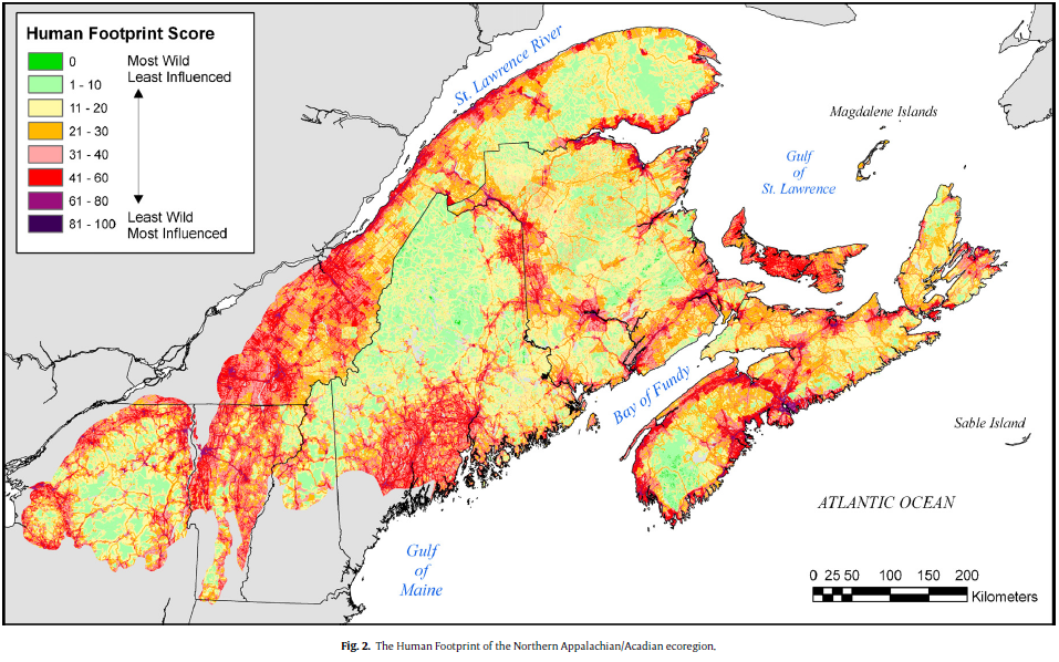 Thumbnail for Rescaling the human footprint: a tool for conservation planning at an ecoregional scale