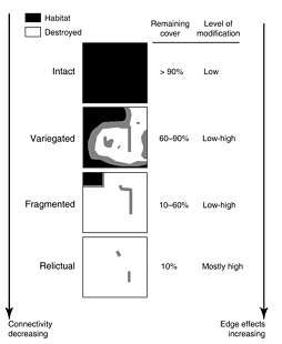 Thumbnail for Landscape modification and habitat fragmentation: a synthesis