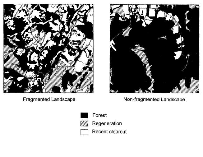 Thumbnail for The early development of forest fragmentation effects on birds