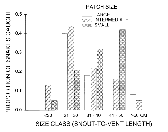 Thumbnail for Community structure of snakes in a human-dominated landscape