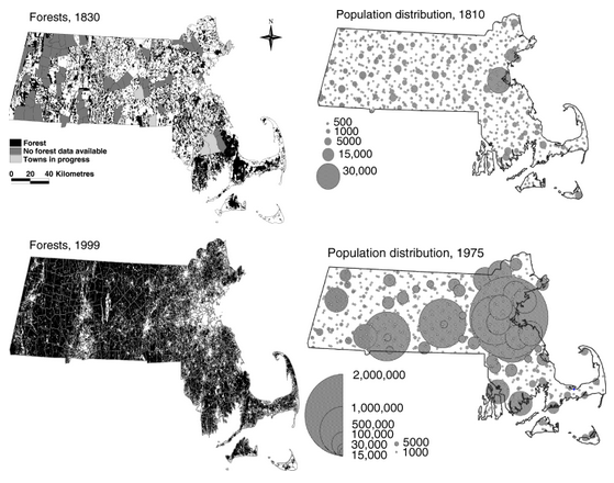 Thumbnail for Wildlife dynamics in the changing New England landscape