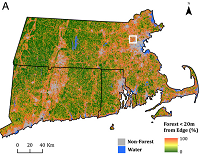 Thumbnail for Edge effects enhance carbon uptake and its vulnerability to  climate change in temperate broadleaf forests.