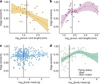 Thumbnail for Creation of forest edges has a global impact on forest vertebrates