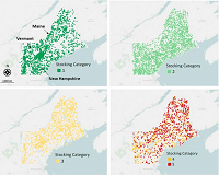 Thumbnail for Evaluating degradation in a North American temperate forest