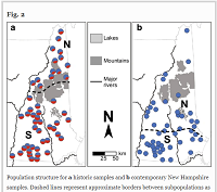 Thumbnail for History matters: contemporary versus historic structure of bobcats in the New England region, USA