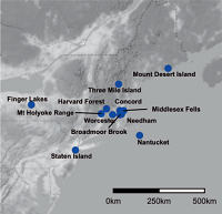 Thumbnail for Floristic Change in New England and New York: Regional Patterns of Plant Species Loss and Decline