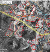 Thumbnail for Forest and Habitat Fragmentation Impacts: NECEC Power Line Segment 1