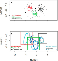 Thumbnail for Dam Removal Effects on Benthic Macroinvertebrate Dynamics: A New England Stream Case Study (Connecticut, USA)