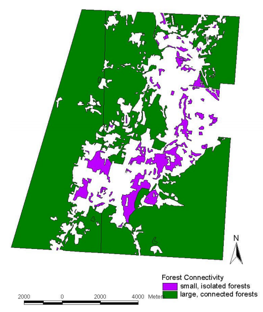 Thumbnail for The Dynamics of Temperate Forest Fragmentation: an Examination of Susceptibility to Woody Invasive Species