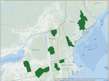 Thumbnail for In Forest and Intact: Designating Future Use of Family-Forest-Owned Land