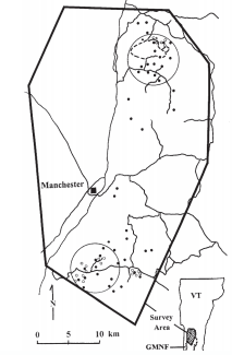 Thumbnail for Assessing an American Marten, Martes americana, Reintroduction in Vermont