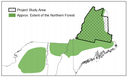 Thumbnail for Long-term Outcomes and Tradeoffs of Forest Policy and Management Practices on the Broad-Scale Sustainability of Forest Resources: Wood Supply, Carbon, and Wildlife Habitat