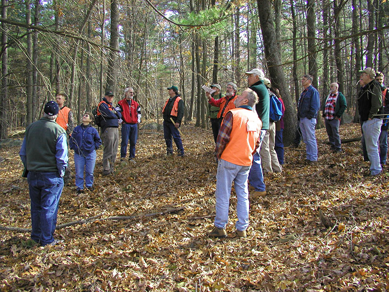 Thumbnail for Private Owners, Land Stewardship, And the Future of Connecticut’s Forests