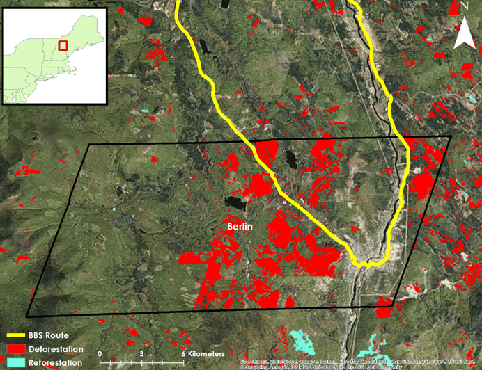 Thumbnail for Songbird Population Dynamics in Fragmented New England Habitat