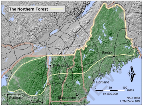 Thumbnail for Sawmill Wood Procurement In The Northeast United States