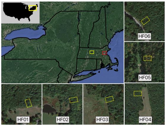 Thumbnail for Urbanization and Fragmentation Mediate Temperate Forest Carbon Cycle Response to Climate