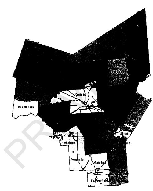 Thumbnail for Parcelization of nonindustrial private forestlands in Oneida County, New York: 1975–2000