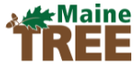 Thumbnail for Threats, Challenges Facing Maine’s Forests