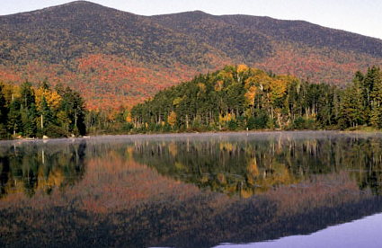 Thumbnail for The Maine Woods, A Publication of the Forest Ecology Network, The Pingree Forest Partnership