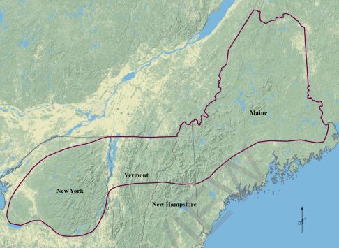 Thumbnail for Sustained Yield Management on Family Woodlands in Vermont’s Northern Forest