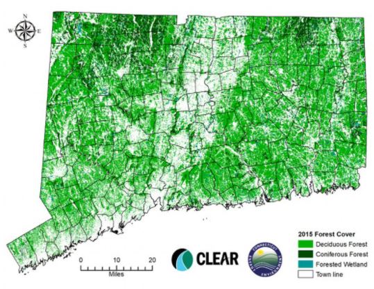 Thumbnail for DEEP Report: Connecticut’s Forest Coverage Remains ’Remarkable’, But Insects, Weather and Decelopment