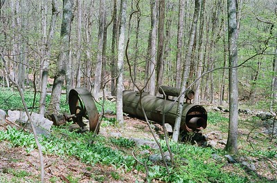 Thumbnail for Challenges to Sawmill Businesses in New England and New York State: A Survey of Wood Procurement Managers