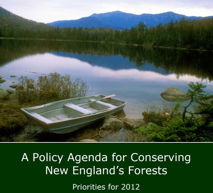 Thumbnail for A Policy Agenda for Conserving New England’s Forests: Priorities for 2012