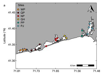 Thumbnail for Predicting the stability of multitrophic communities in a variable world