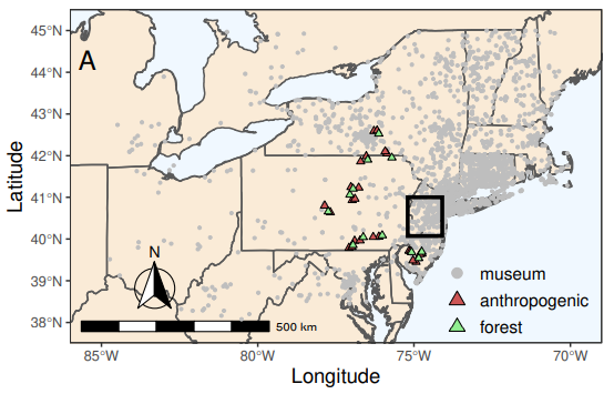 Thumbnail for Forest-associated bee species persist amid forest loss and regrowth in eastern North America