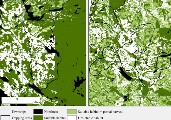 Thumbnail for Sex-biased habitat selection by American marten in the Acadian Forest