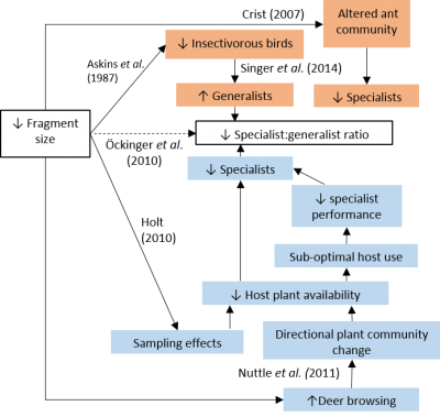 Thumbnail for Forests Facing Environmental Change: Fragmented Ecological Networks