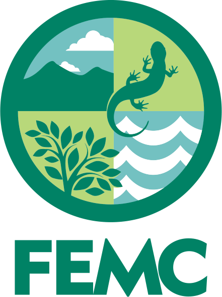 FEMC Logo